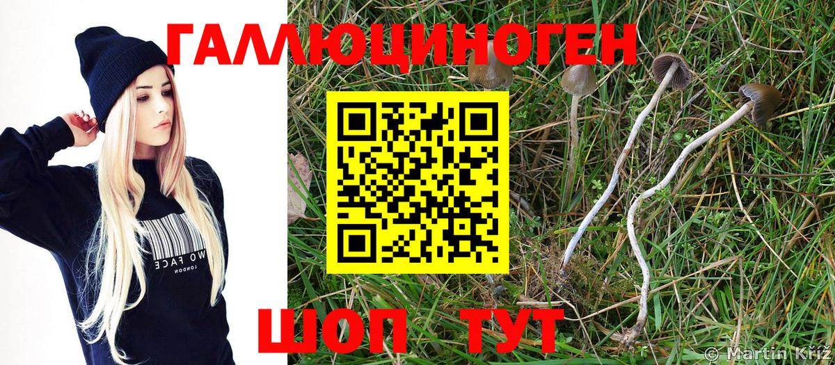 Псилоцибиновые грибы ЛСД  Псилоцибиновые грибы Magic Shrooms  Вход с VPN  Гатчина 